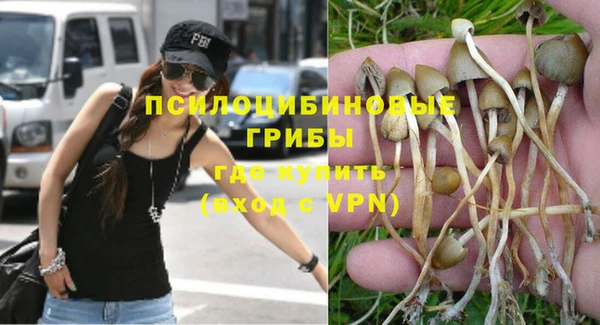 ешки Карпинск