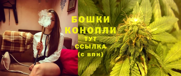 стаф Каменск-Шахтинский