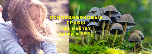 стаф Каменск-Шахтинский