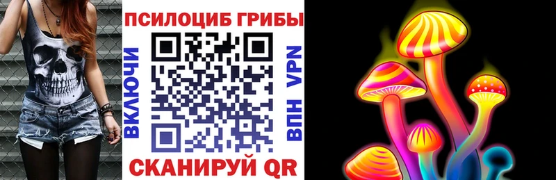 Галлюциногенные грибы Psilocybine cubensis  Купить закладки  Плавск 